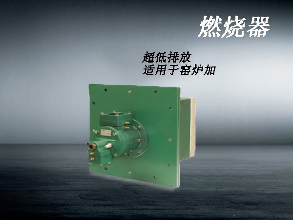 工業(yè)30毫克低氮燃燒機